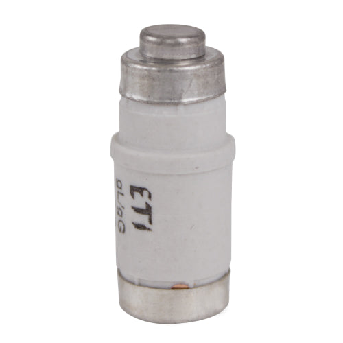 ETI Bottle Fuse; D02; Time-Lag; gG; 25A